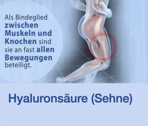 Video Hyaluronsäure Sehne Stuttgart